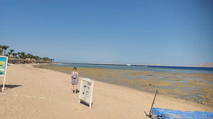 Sinbad Beach shoreline
