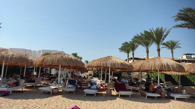 Sinbad Beach umbrellas and palm trees