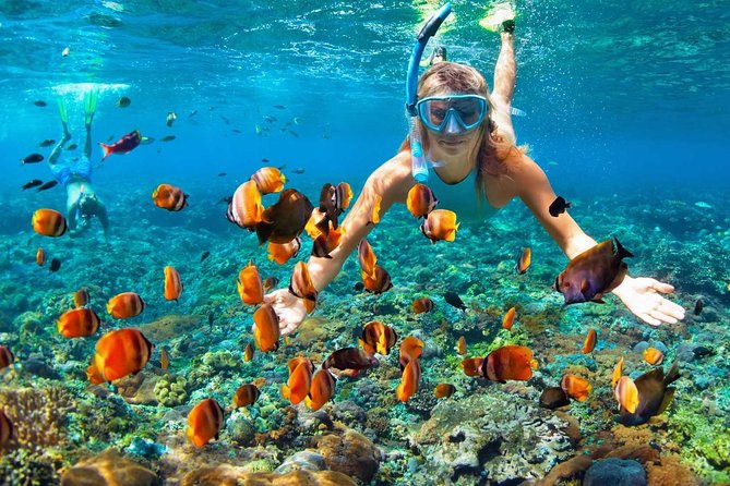 Diving and Snorkeling