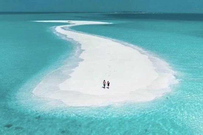 White Island Boat Trip