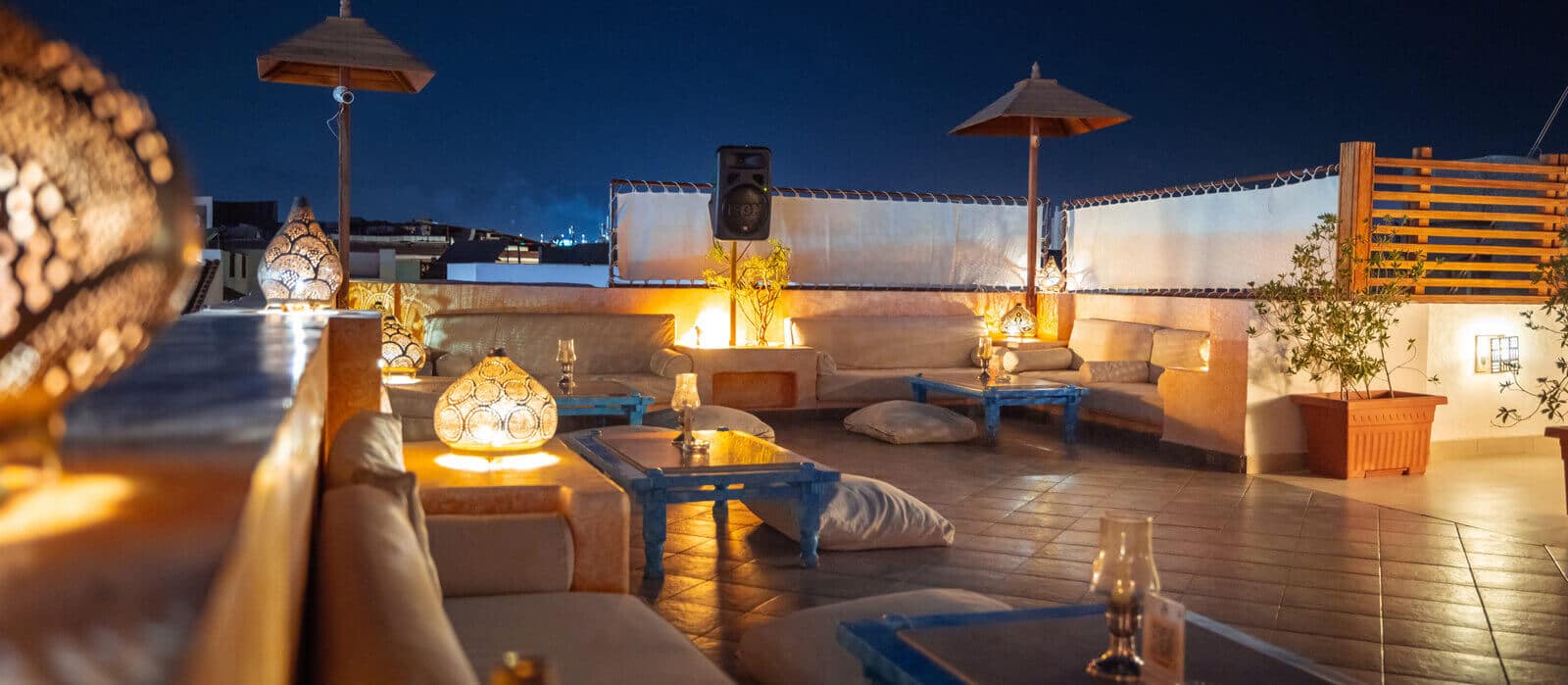 Camel Rooftop